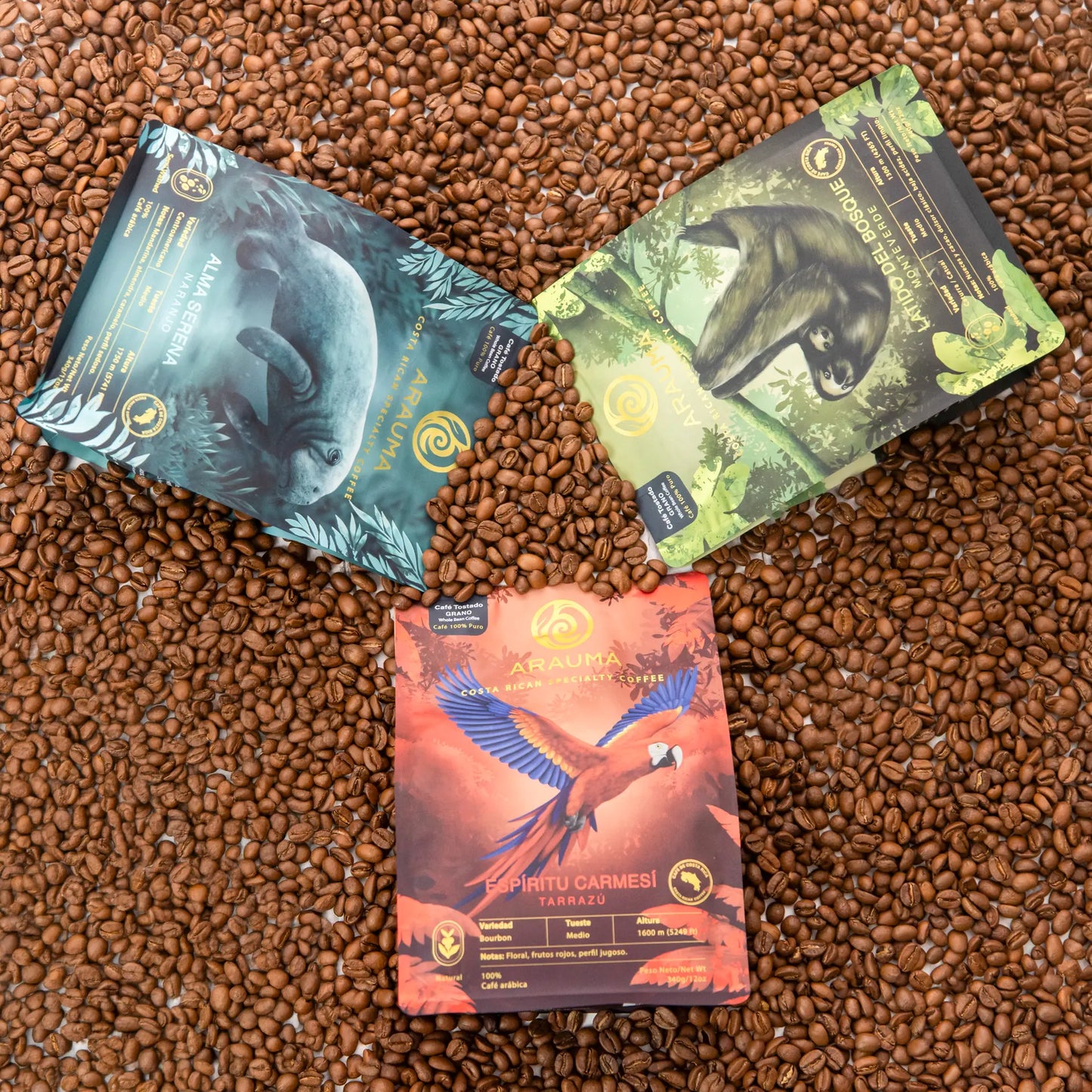 Colección Orígenes - 3 Pack