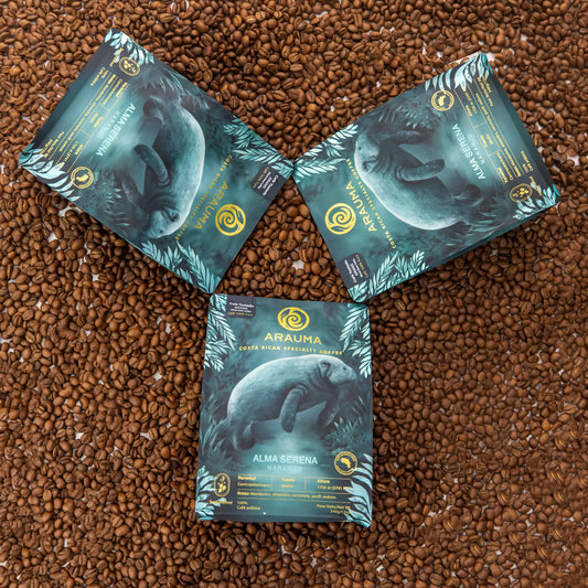 Colección Alma Serena - 3 Pack