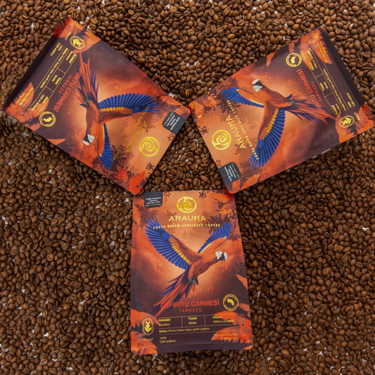 Colección Espíritu Carmesí - 3 Pack