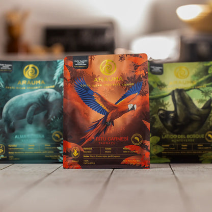 Colección Orígenes - 3 Pack